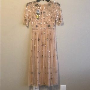 gianni bini madi mesh beaded midi dress